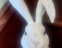 Did Some Body Say Bunny?