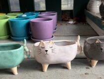 NEW POTS Are In!